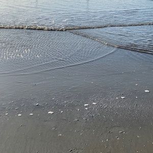 Meet your Posher, KP